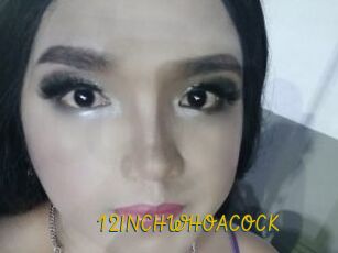 12INCHWHOACOCK