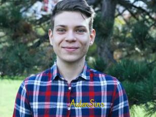 AidenSins