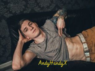 AndyHandyX