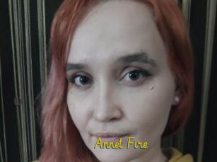 Annet_Fire