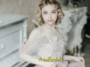 AriaBarket