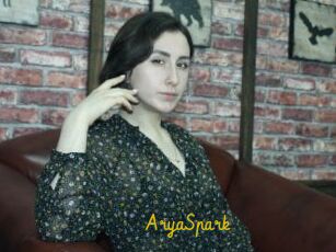 AryaSpark
