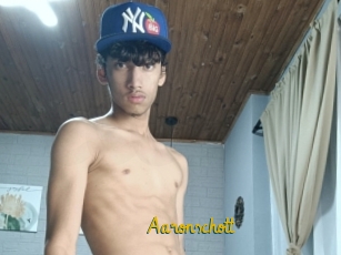 aaronschott Porno TV