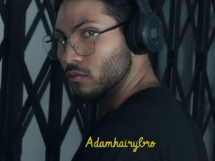 Adamhairybro