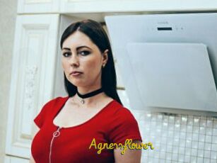 Agnessflower