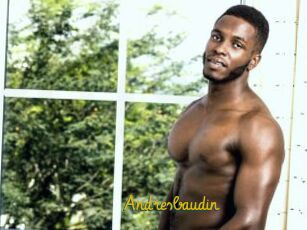 Andresbaudin