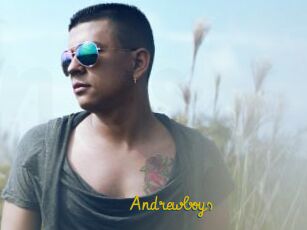 Andrewboys