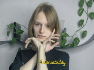 Antoniabiddy