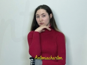 Antoniacharton