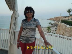 BIGPLEASURE