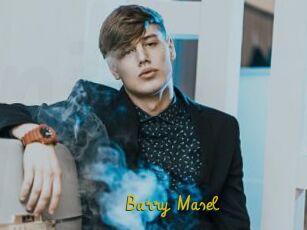 Barry_Masel