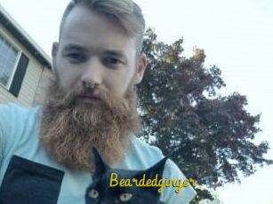 Beardedginger