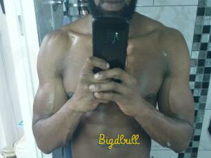 Bigdbull