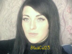 BlackCat23