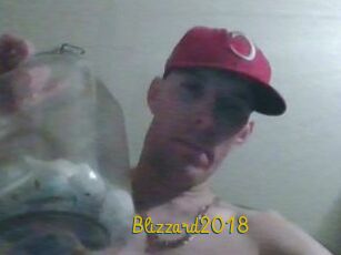 Blizzard2018