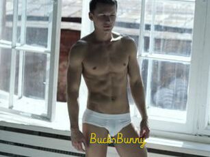 BucksBunny