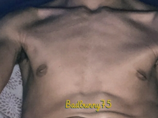 Badbunny75