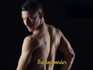 Bastionwonder