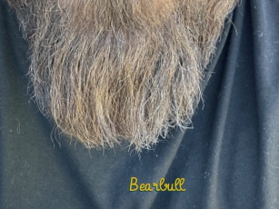 Bearbull