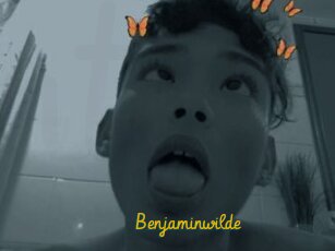 Benjaminwilde
