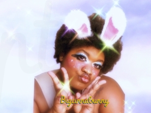 Bigcinnabunny