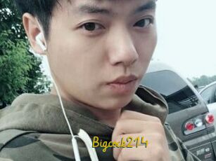Bigcock214