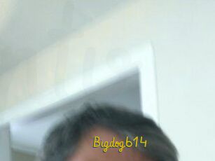 Bigdog614