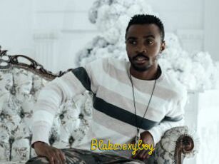 Blakesexyboy