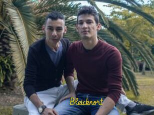 Bleicknort