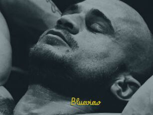 Blueview