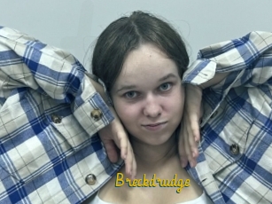 Breckdrudge