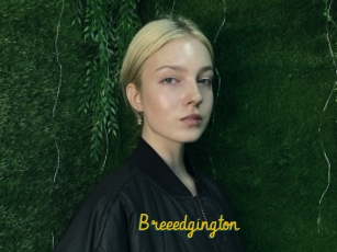 Breeedgington