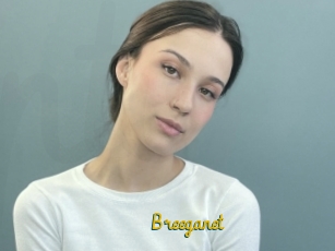 Breeganet