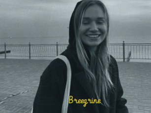Breegrine