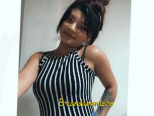 Briandamonteiro