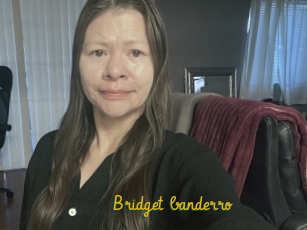 Bridget_banderro