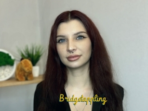 Bridgetappling