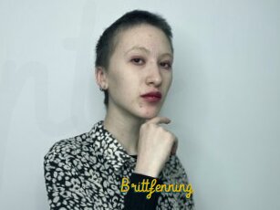 Brittfenning