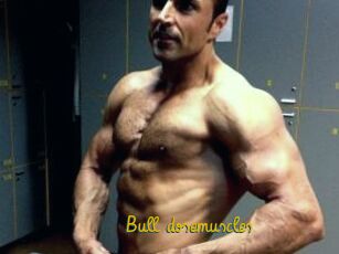 Bull_dosemuscles