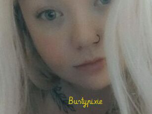 Bustypixie