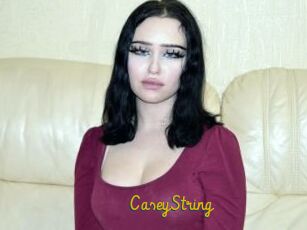 CaseyString