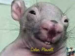 Colon_Plowell