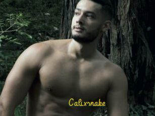 Calixsnake