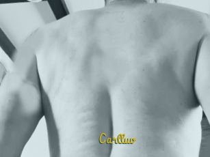 Carlluv