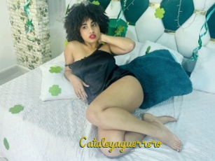 Cataleyaguerrero