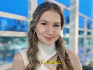 Cateclutter