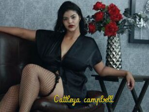 Cattleya_campbell