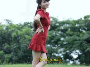 Cindycindy