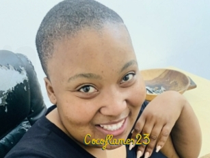 Cocoflames23