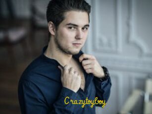 Crazytoyboy